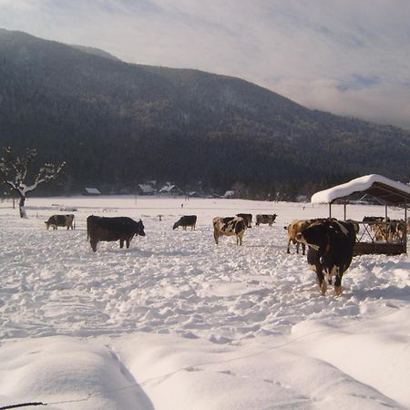Farmhouse Soklic Bohinj Bagian luar foto