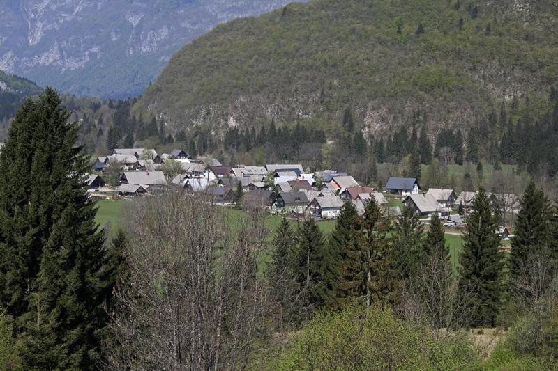 Farmhouse Soklic Bohinj Bagian luar foto